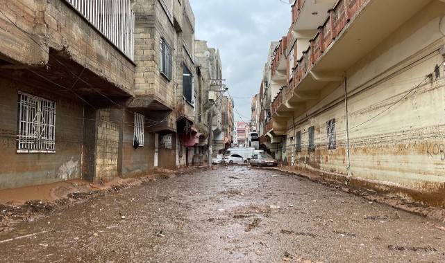 Şanlıurfa'da sel sonrası korkunç manzara!