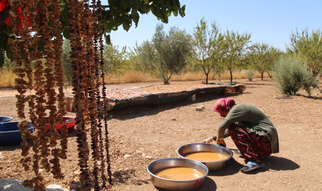 Şanlıurfa'da üzüm pestil, kesme, pekmez ve cevizli sucuğa dönüştürülüyor.