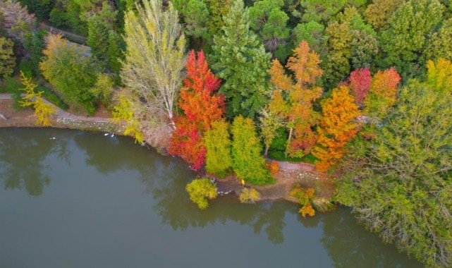 Atatürk Arboretumu’nda kartpostallık manzara