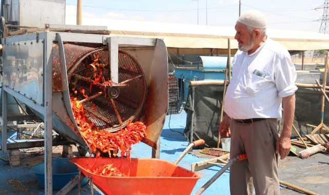 Tarım kenti Şanlıurfa'da 'acı' mesai başladı