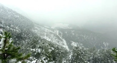 Yılanlı Dağı'nın kış manzarası mest etti