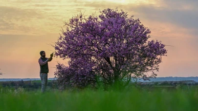 Adıyaman'a bu yıl ''bahar'' erken geldi