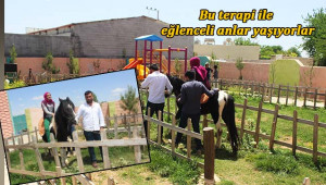 Suruç’ta engelliler ‘Safkan’ atlarla terapi oluyor