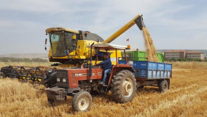 Arpa ve buğdayda yüksek rekolte