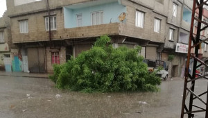 Gaziantep'te fırtına ve sağanak yağış