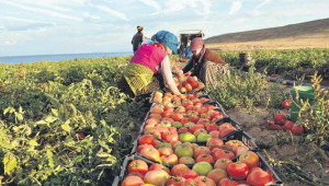 'Peşin ödeme, piyasayı rahatlatır'