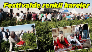 İsot Festivali ‘isot’ hasadı ile başladı