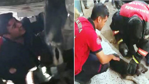 İtfaiyeden köpek kurtarma operasyonu