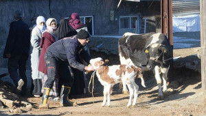 Bakanlıktan depremzedelere hayvan ve yem desteği