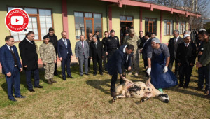 Yaşanan olaylar nedeniyle kurban kesildi