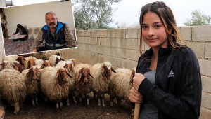 Hayali hibe edilen hayvanlarla yeşerdi