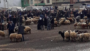 Viranşehir Hayvan Pazarı kapatıldı