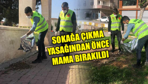 Sokak hayvanları unutulmadı