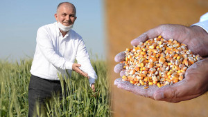 Hububat alımı, çiftçinin yüzünü güldürdü