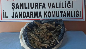 On kilo esrarla yakalanan şahıs tutuklandı