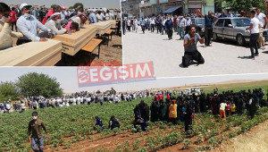 Mevsimlik işçilerin acı kaderi