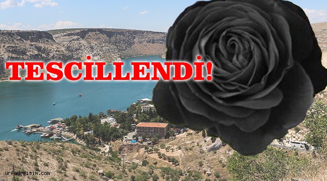 Halfeti, Karagül'ün tescilini aldı