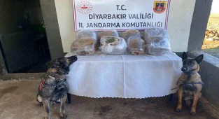 Yolcu otobüsünde 28 kilogram esrar ele geçirildi