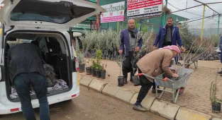 Fıstık ve zeytin ekimine başlandı!