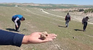 Yağış olmayınca keme de olmadı!