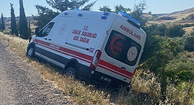 Domuz, ambulans kazasına neden oldu!