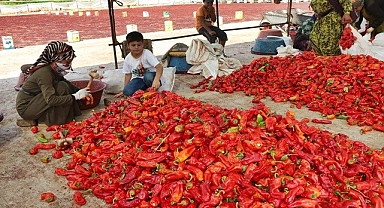 Şanlıurfa'da "isot reçeli" sezonu başladı!