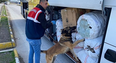 Ülke genelinde düzensiz göçmen operasyonu