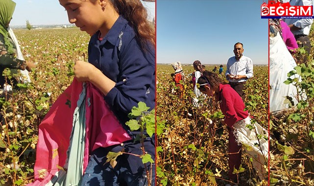 Urfa’nın eğitim seviyesinin neden düşük olduğunun fotoğrafı