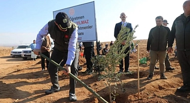 Şanlıurfa'da şehit 192 öğretmen anısına fidan dikildi