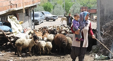 Devletten destek aldı, servet sahibi oldu!