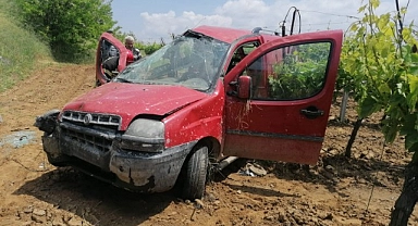 Kontrolden çıkan ticari araç üzüm bağına düştü