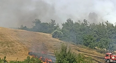 Anız yangını ağaçlara sıçradı