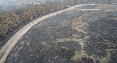 Çanakkale'de orman yangın 38. saatte devam ediyor