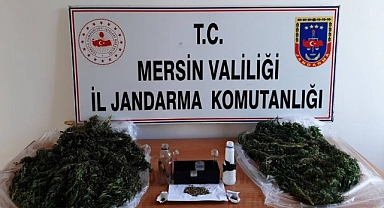 Uyuşturucu madde yetiştiren zanlılar yakalandı