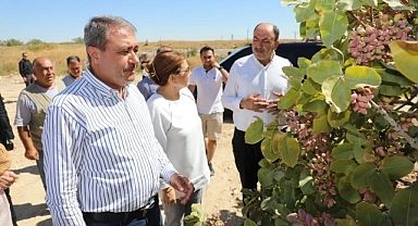 Vali Şıldak’tan Göbeklitepe, Halfeti ve Birecik temasları