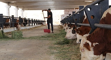 Yurt dışından gelen Urfalı hayalindeki tesisi kurdu