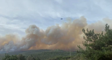 Çanakkale’deki orman yangını yayılıyor