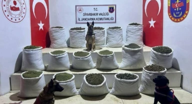 Diyarbakır'da terör operasyonunda esrar ve mühimmat ele geçirildi