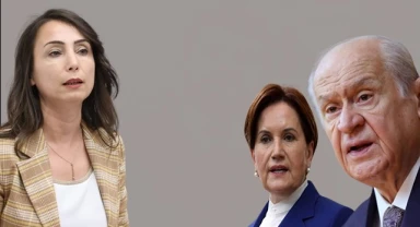 Hatimoğullar'ından Bahçeli ve Akşener'e yanıt: "Bizi Meclis'e leylekler getirmedi, halk taşıdı"