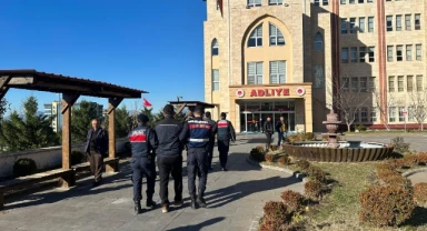 İki hükümlü jandarma tarafından yakalandı