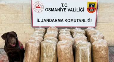 Jandarmadan uyuşturucu ve kaçakçılık operasyonları: 25 gözaltı