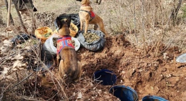 Jelikan bidon içerisine saklanmış 43 kilo esrar ele geçirildi