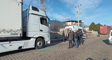 Tır şoförü aracında ölü bulundu