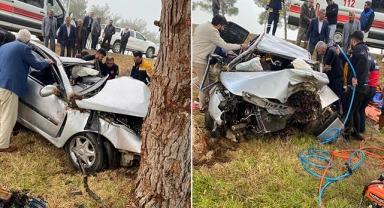 Urfa’da araç ağaca çarptı! Sürücü ağır yaralandı