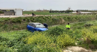 Yoldan çıkan otomobil ağaca çarptı: 2 yaralı