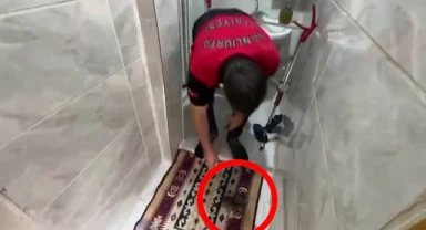 Havalandırma boşluğuna kedi düştü! İmdadına İtfaiye yetişti