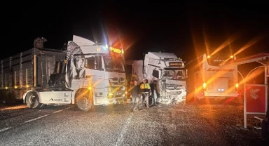 Malatya’da yem yüklü tır devrildi