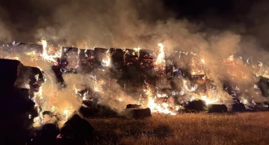 Urfa'da tonlarca saman küle döndü