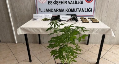 Evinde kenevir yetiştiren şahsa jandarma operasyonu