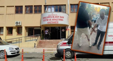 Eyyübiye’de vatandaşı ısıran köpek kuduz çıktı!